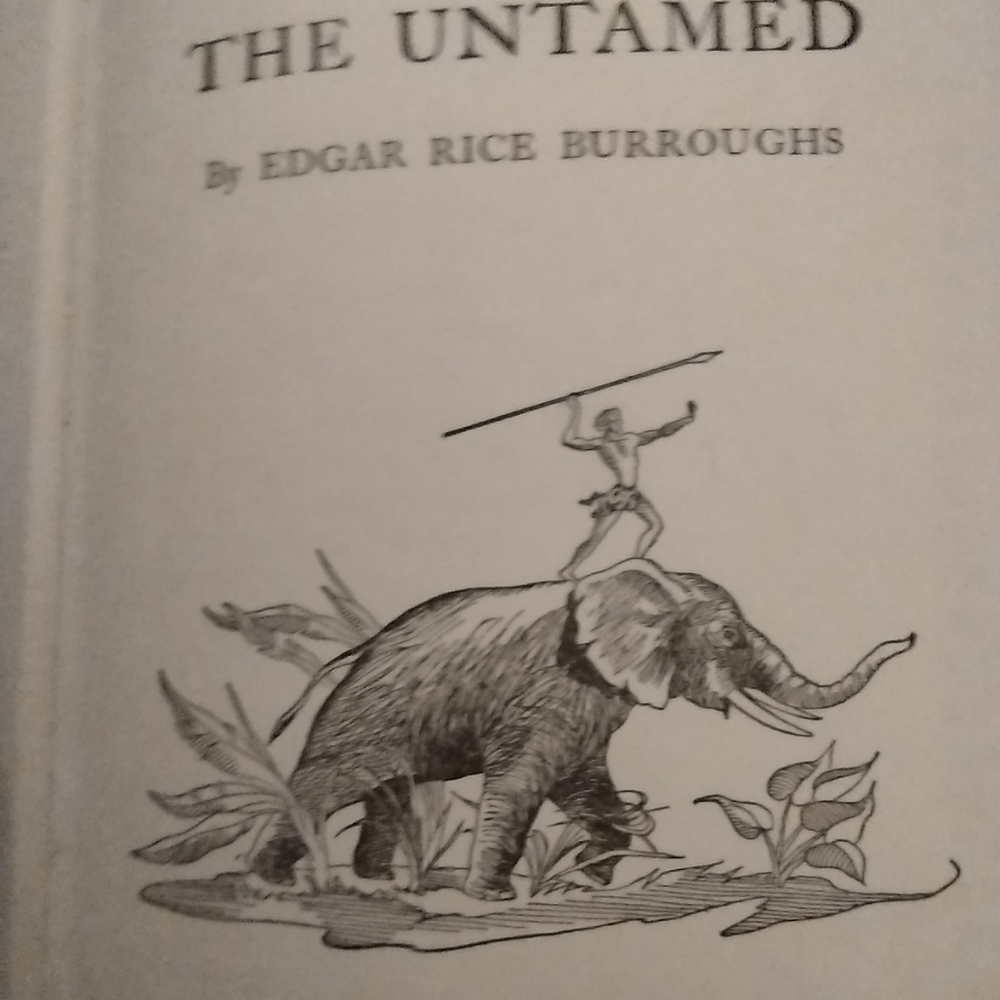 A wonderful story book
